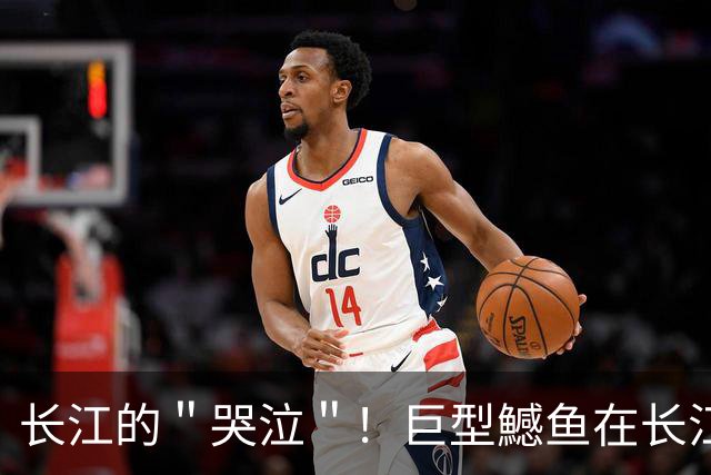 长江的＂哭泣＂！巨型鱤鱼在长江泛滥，十年禁渔却养虎为患？