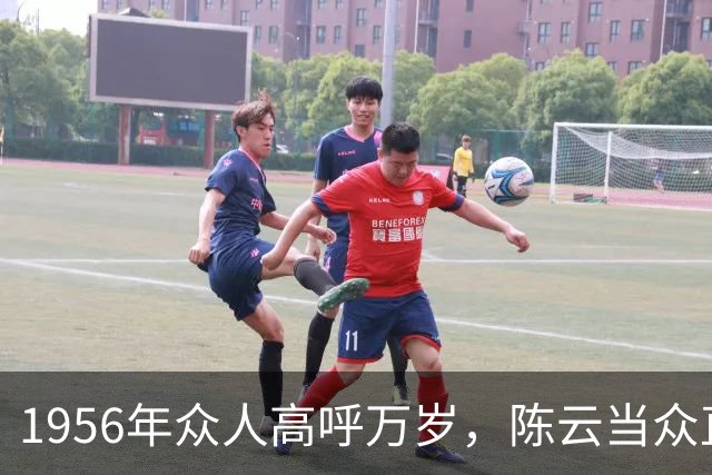 1956年众人高呼万岁，陈云当众直言：天天喊万岁，一出错就是大错